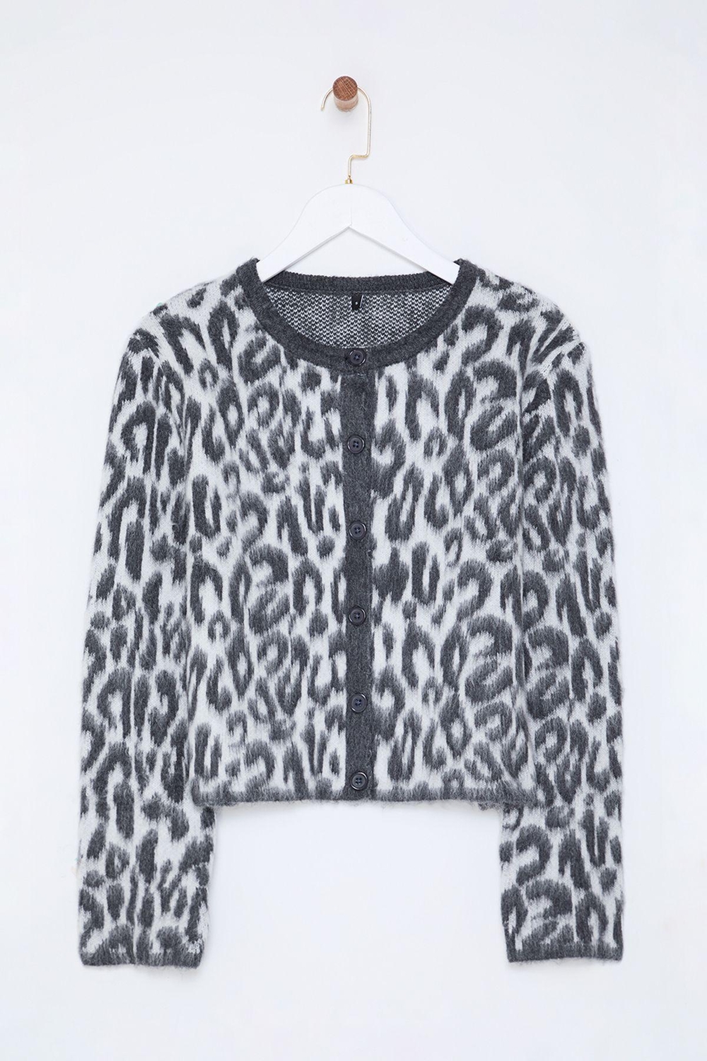 Stil Modern Kadın Regular Standart Kol Bisiklet Yaka Leopar Desenli Triko Hırka