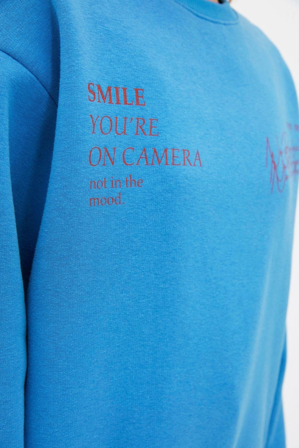 Regular Bisiklet Yaka Standart Kol Regular Basic Fit Baskılı Kalın İçi Polarlı Örme Sweatshirt