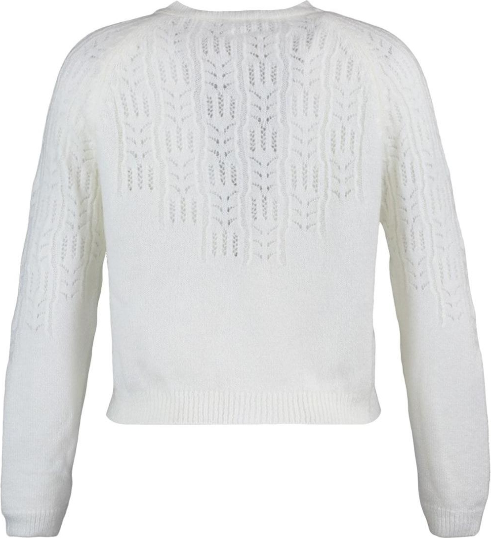 Kadın Modern Tarz Regular Bisiklet Yaka Crop Triko Hırka